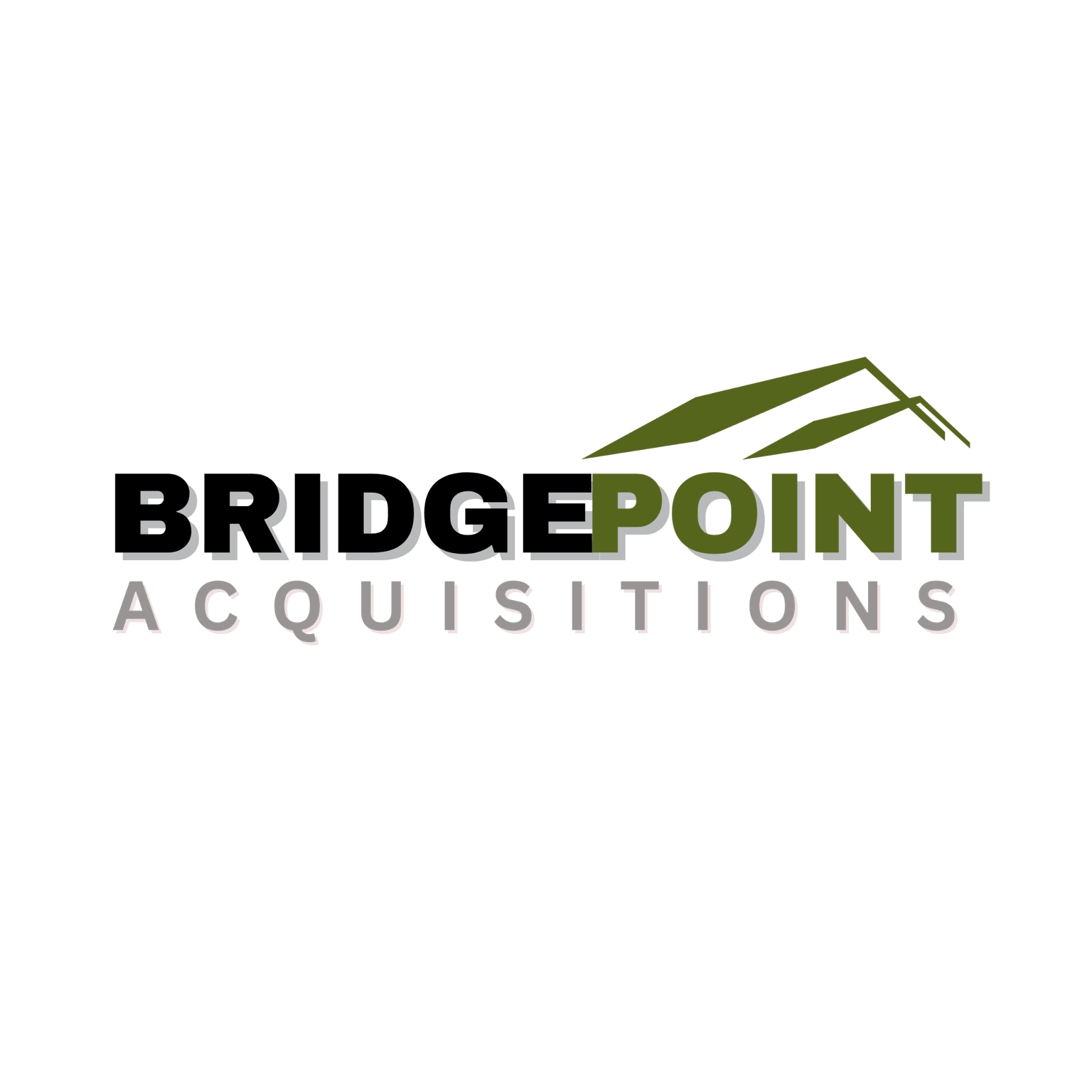 BridgePoint Acquisitions